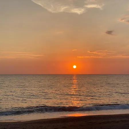 Lejlighed Mimosa Scalea