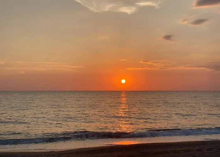 Lejlighed Mimosa Scalea