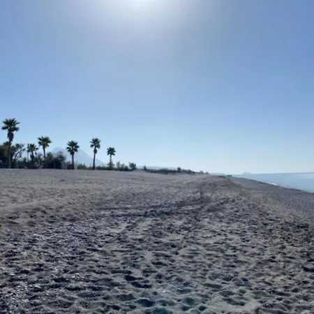 Apartamento Mimosa Scalea