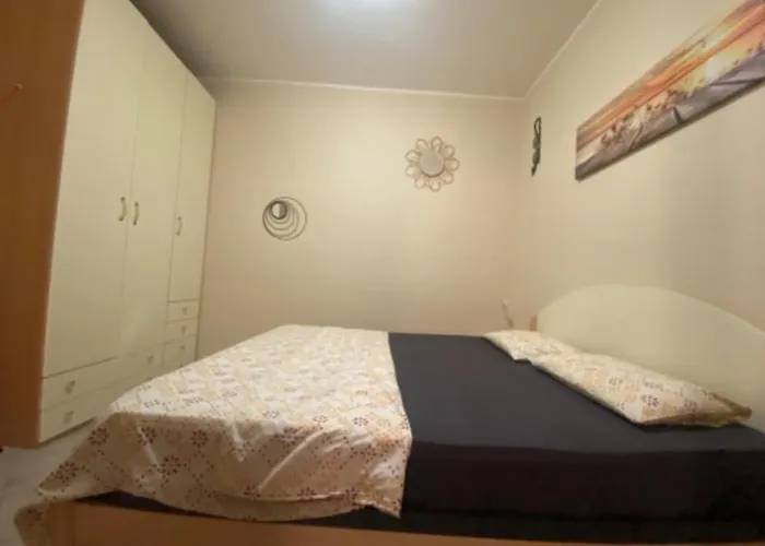 Mimosa * 斯卡莱阿