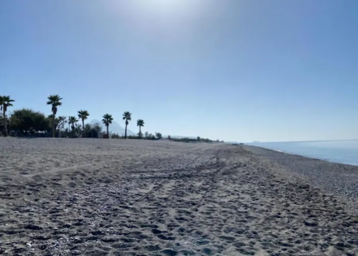 Apartamento Mimosa Scalea