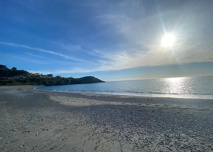 Mimosa * 斯卡莱阿